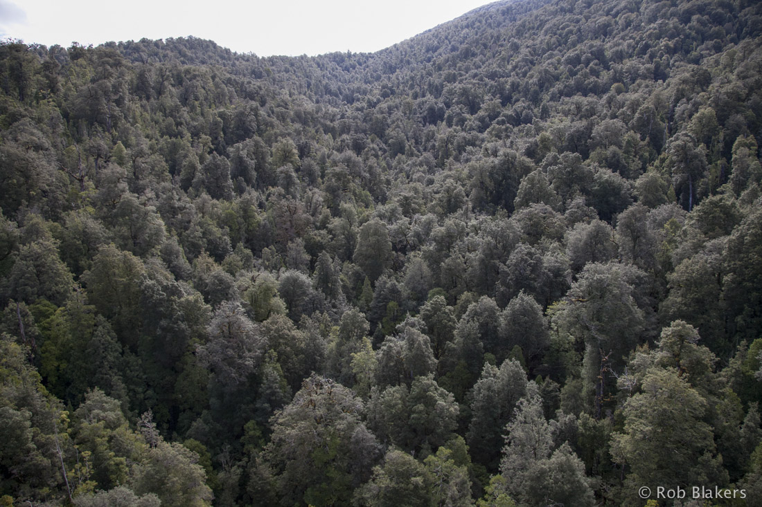 photograph of Mt Lindsay mine site 2